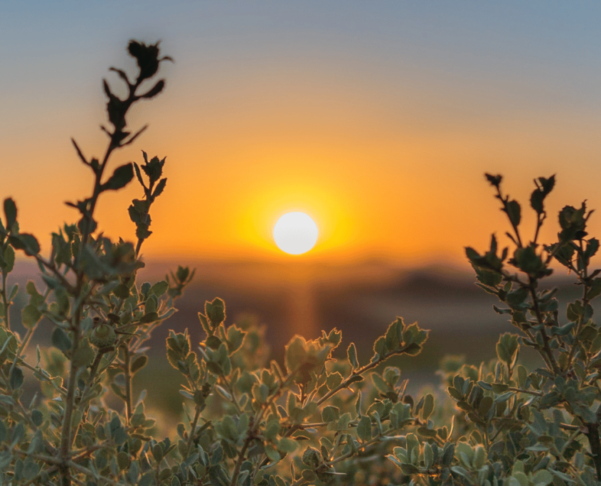 Nature and landscape