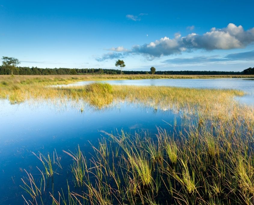 VISIT BERGEIJK