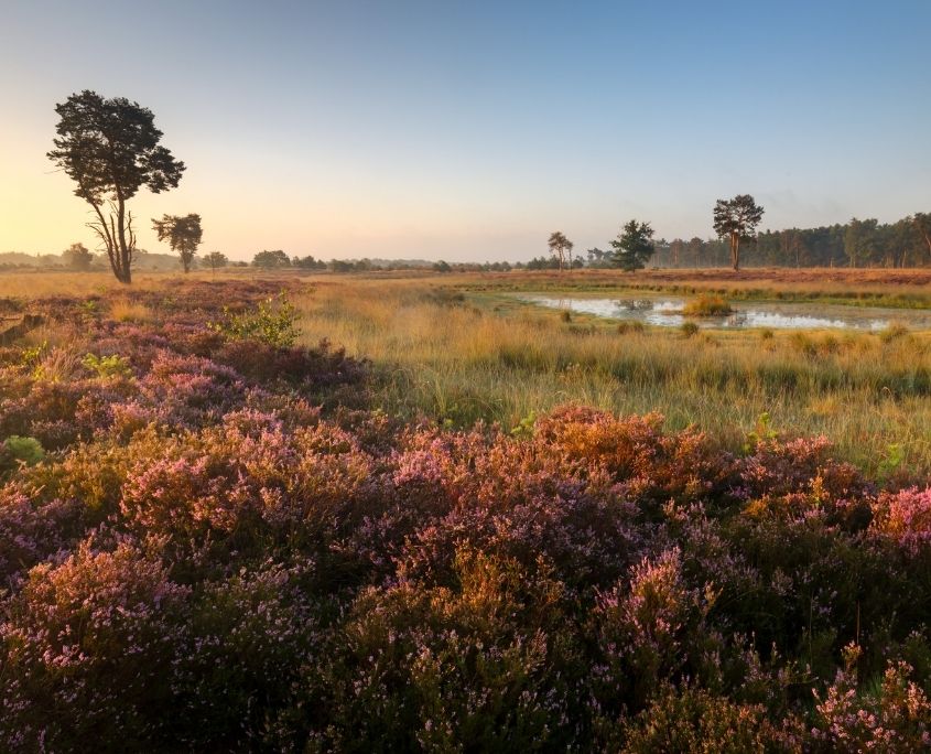VISIT BERGEIJK