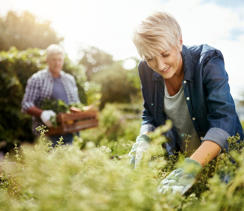 Aligned image